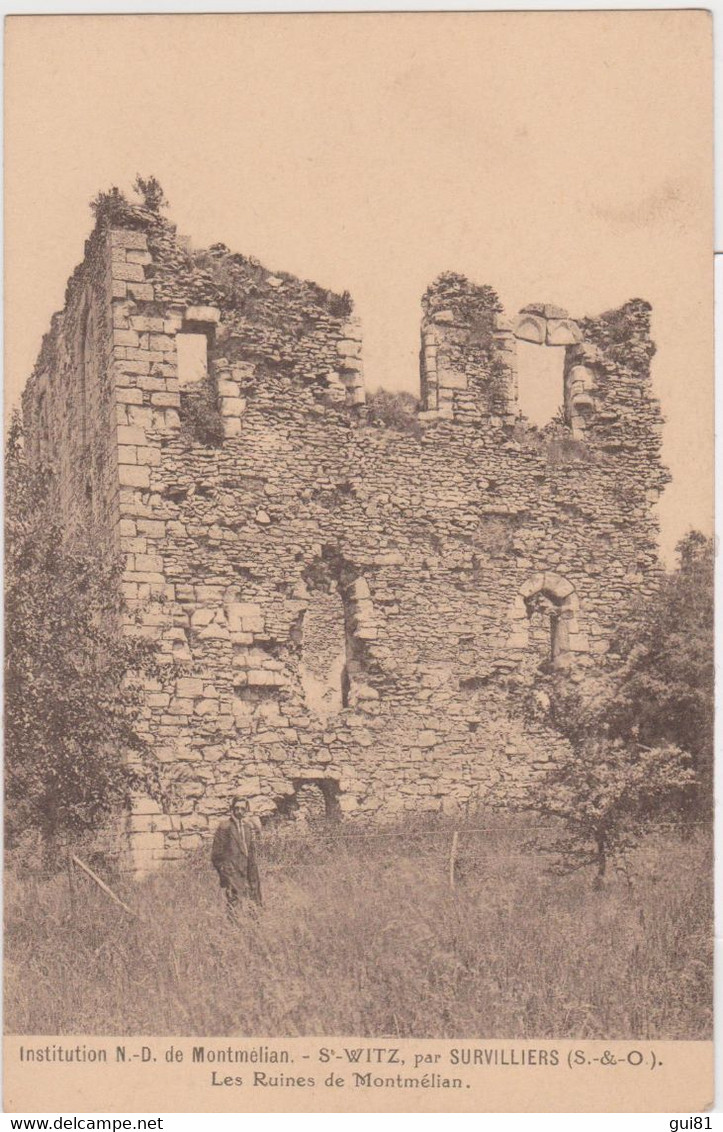 SAINT-WITZ - Institution Notre Dame De Montmélian - Les Ruines De Montmélian - Saint-Witz