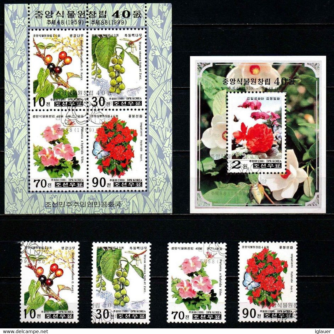 DPR KOREA 1999: Pyongyang Botanical Garden 40th Anniversary, Flowers (Series + Souvenir Sheets) - Korea (Nord-)