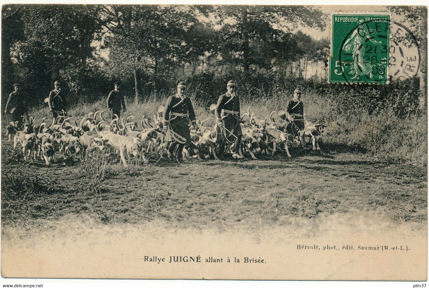 CLERE LES PINS - Chasse à Courre, Rallye JUIGNE Allant à La Brisée - Cléré-les-Pins