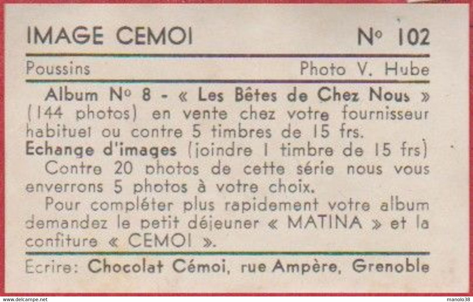 Poussins. Poussin. Poule. Photo V Hube. Image N°102. Album N°8: "Les Bêtes De Chez Nous". Chocolat Cémoi. Grenoble - Other & Unclassified