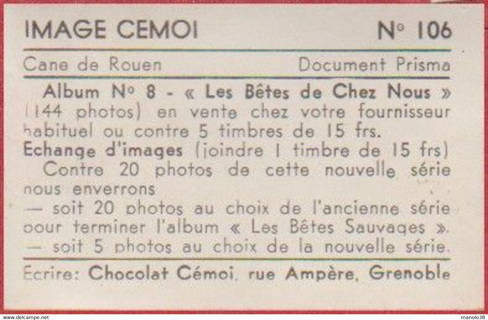 Cane De Rouen. Canard. Photo Prisma. Image N°106. Album N°8: "Les Bêtes De Chez Nous". Chocolat Cémoi. Grenoble - Other & Unclassified