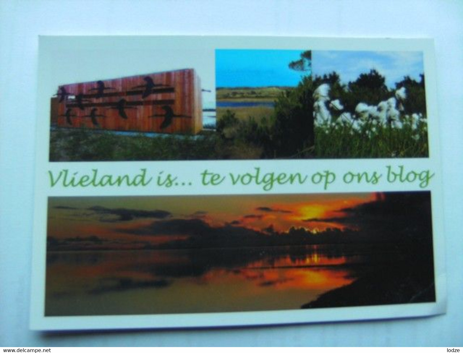 Nederland Holland Pays Bas Vlieland Met Blog Staatsbosbeheer - Vlieland