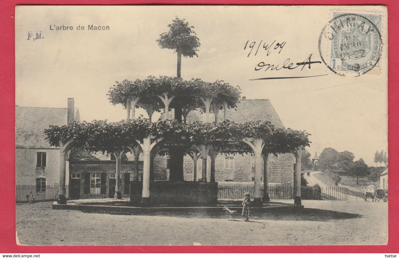 Macon - L'Arbre ( Ancien Tilleul  Planté Au XV E Siècle ) - 1909  ( Voir Verso ) - Momignies