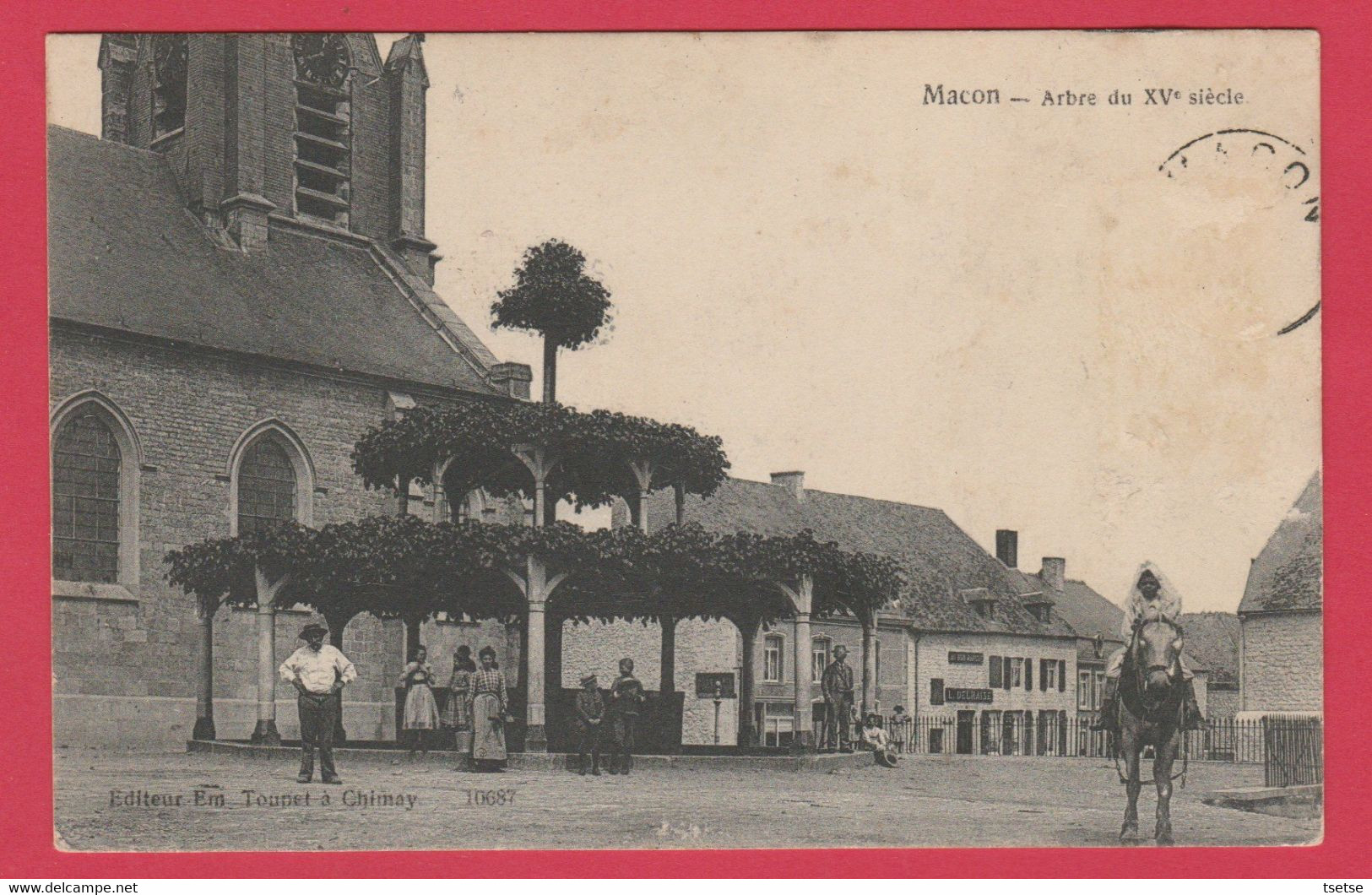 Macon- Arbre Du XVe Siècle ... Belle Animation - Edition :  Toupet, Chimay - 190? ( Voir Verso ) - Momignies