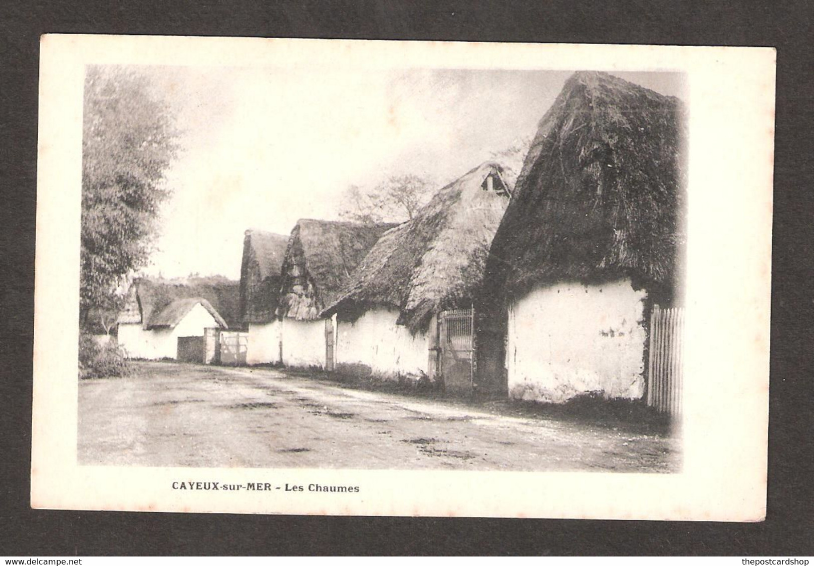 CPA 80 SOMME CAYEUX SUR MER  Les Chaumes FRANCE - Cayeux Sur Mer