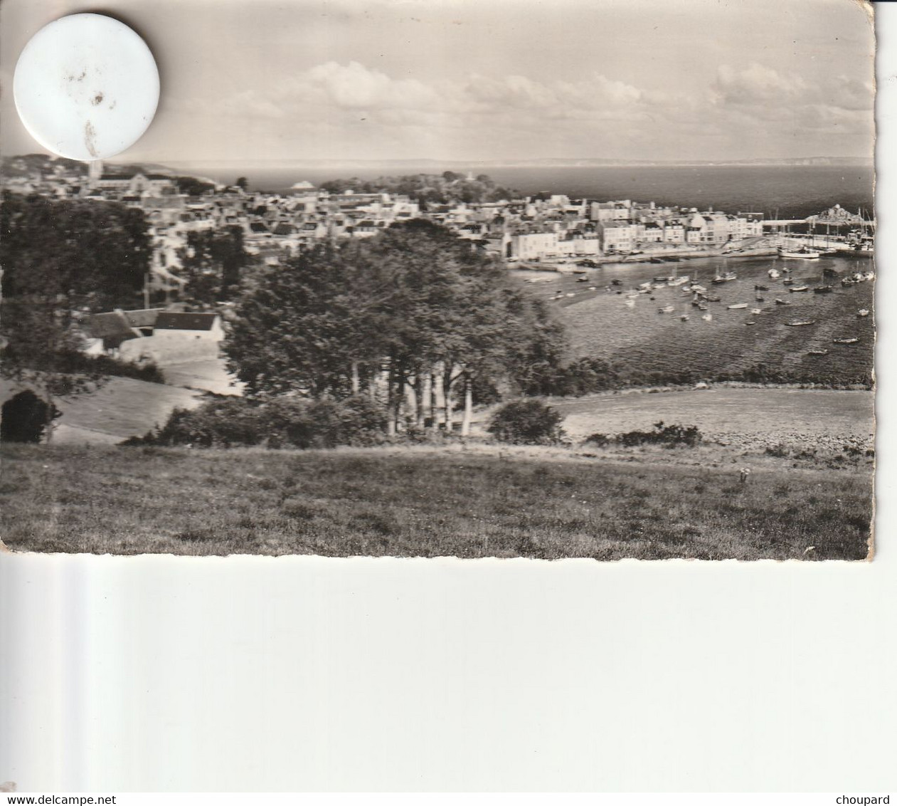 29 - Carte Postale Semi Moderne De  DOUARNENEZ   Vue Aérienne - Douarnenez