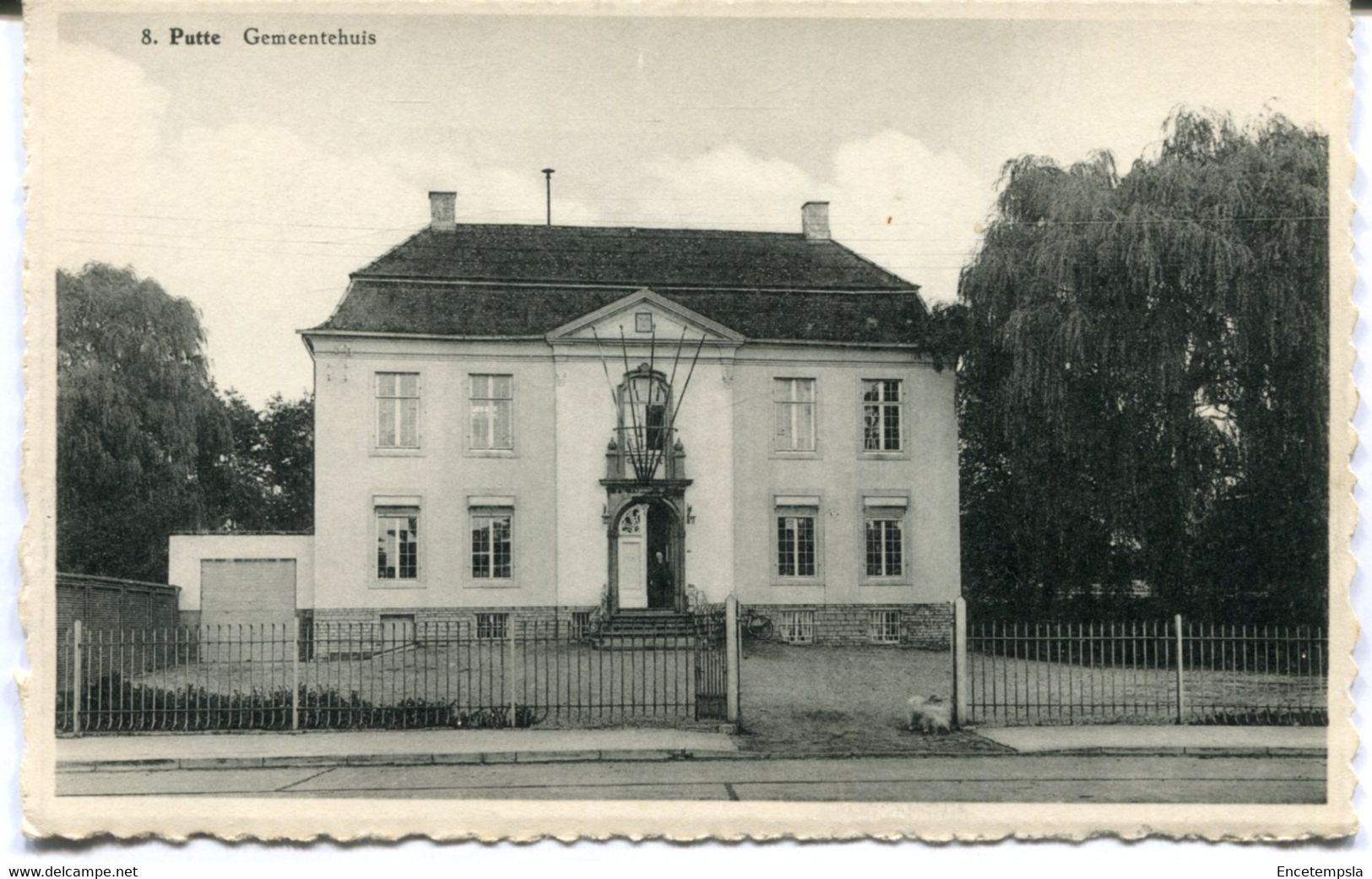 CPA - Carte Postale - Belgique - Putte - Gemeentehuis  (MO17696) - Putte