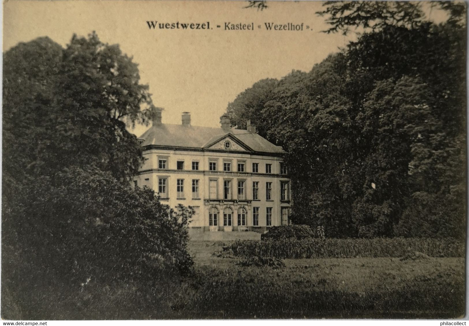 Wuustwezel - Wuestwezel // Kasteel Wezelhof No. 2. 19?? - Wuustwezel