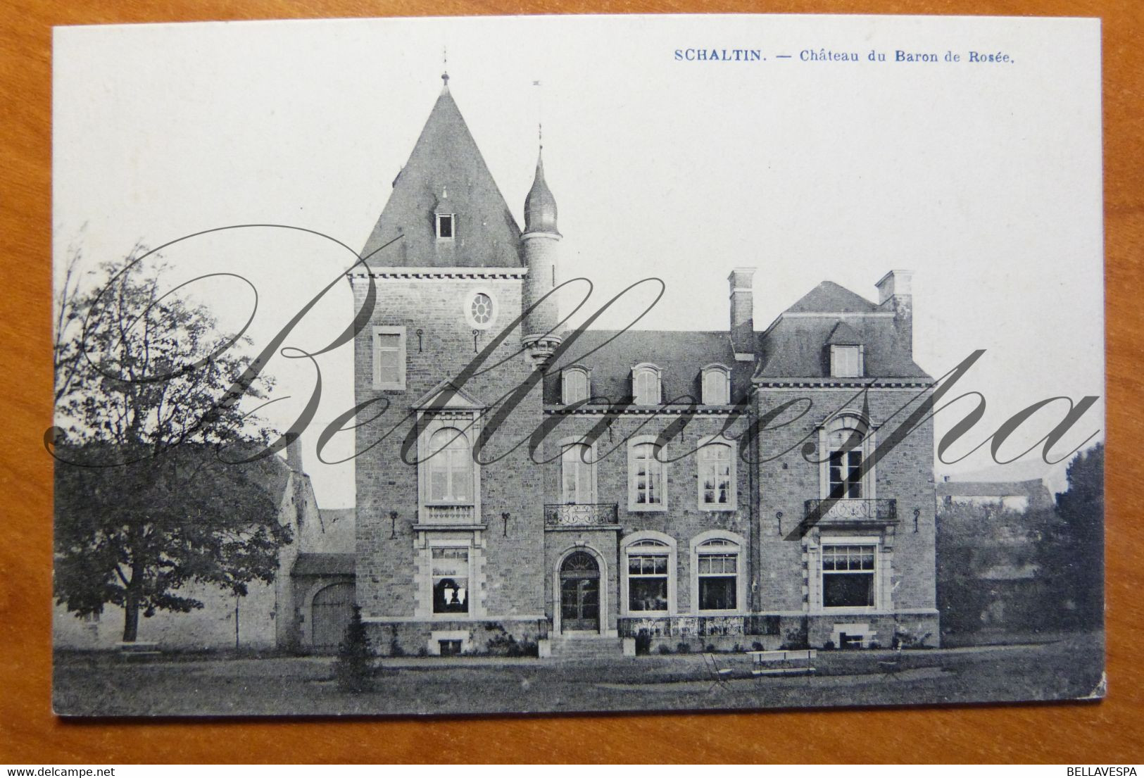 Schaltin Château Du Baron De Rosée.-Hamois - Hamois