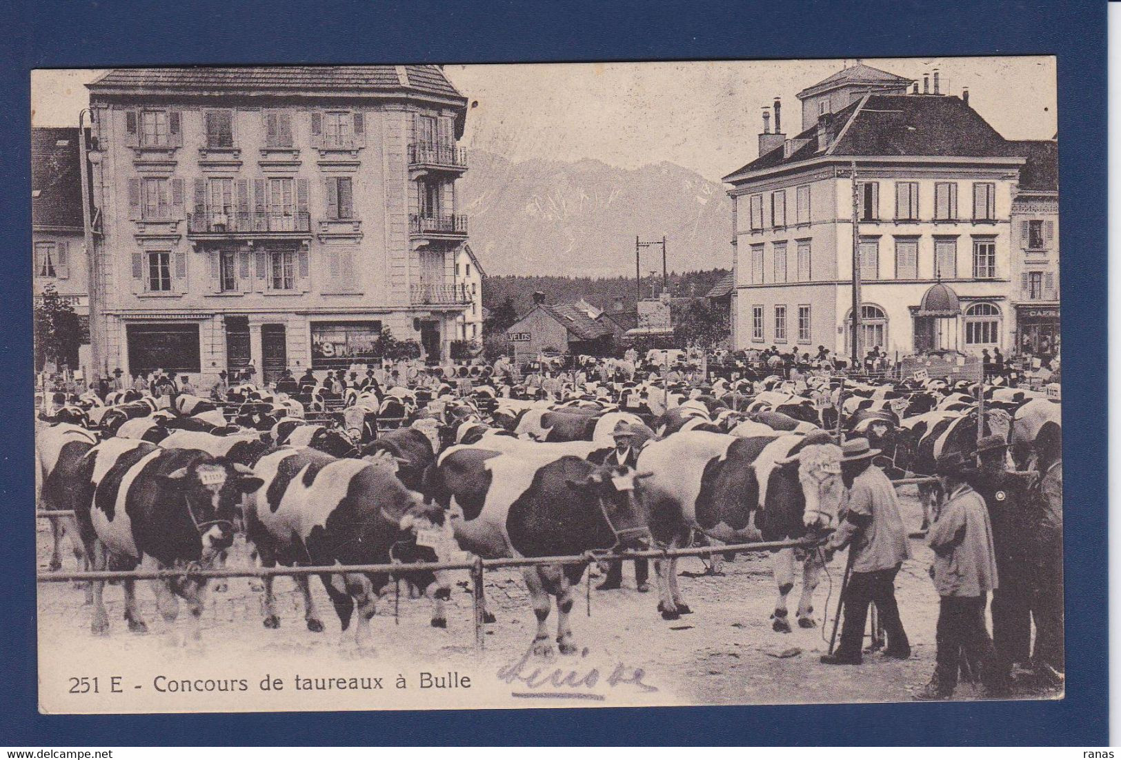 CPA Suisse Canton De Fribourg Bulle Concours De Taureaux Circulé - Bulle