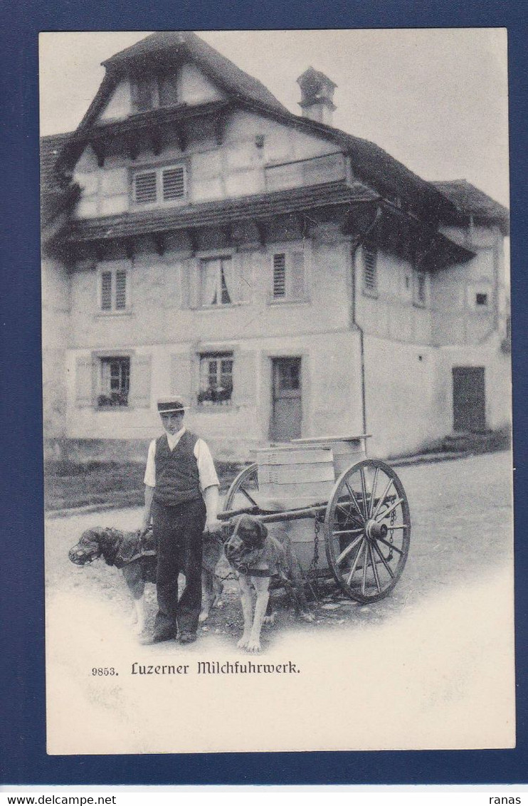 CPA Suisse Canton De Lucerne Métier Attelage Voiture à Chien Non Circulé - Lucerne