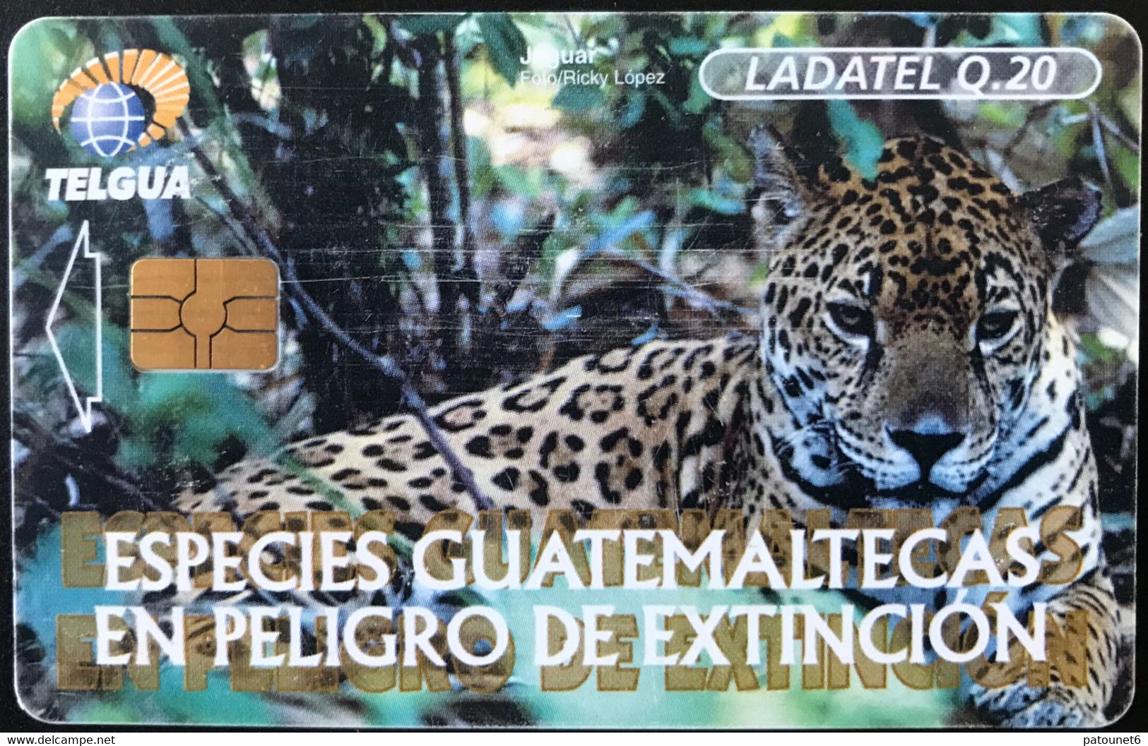 GUATEMALA  -  Phonecard  - Telgua -  Especies Guatemalcas En Peligro De Extincion -  Ladatel 0.20 - Guatemala