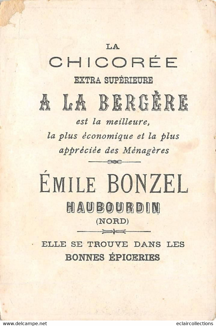 Image; 13.5 X 9.5  Exposition Universelle Paris 1900. Le Grand Palais  Chicorée A La  Bergère 59 Haubourdin  (voir Scan) - Andere & Zonder Classificatie