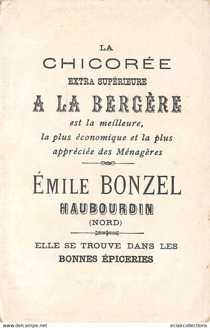 Image; 13.5 X 9.5  Exposition Universelle Paris 1900. L'Electricité  Chicorée A La  Bergère 59 Haubourdin (voir Scan) - Other & Unclassified