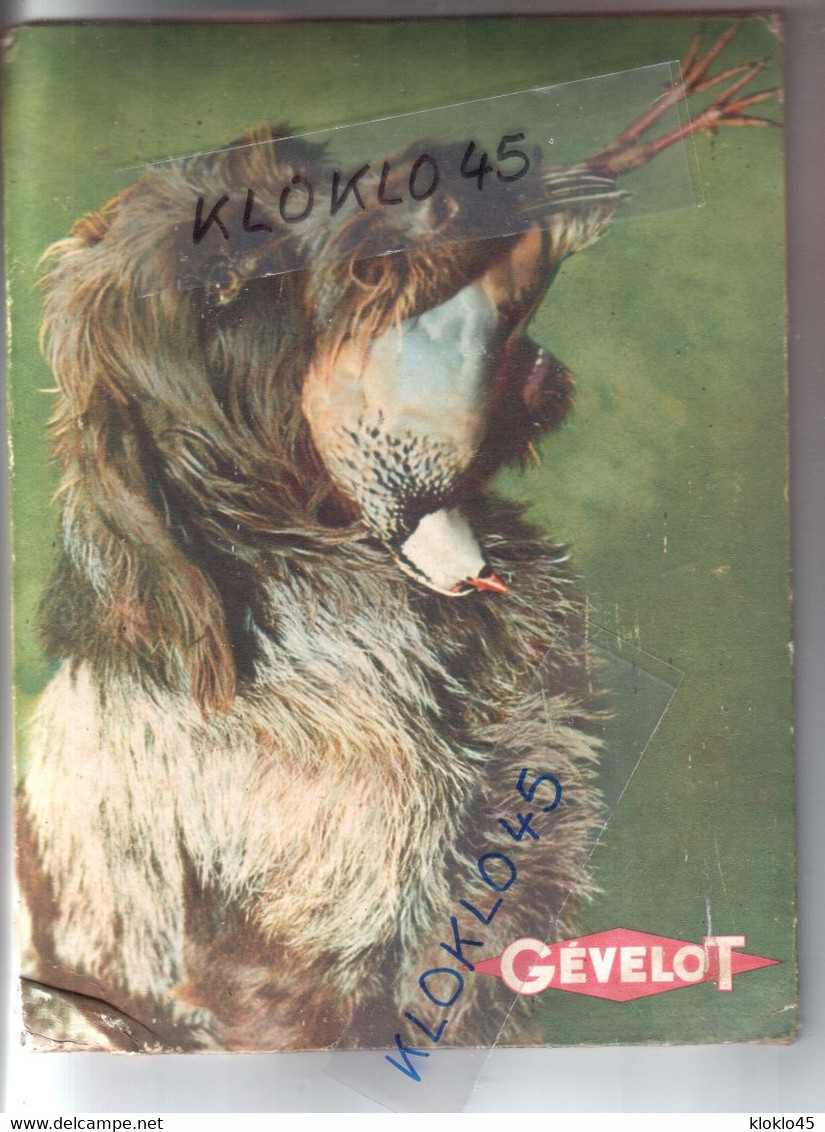 Plaque Présentoir Couleur En Carton GEVELOT ( Cartouches ) - Année 1950 - Chien Griffon Tenant Un Faisan Dans La Gueule - Placas De Cartón