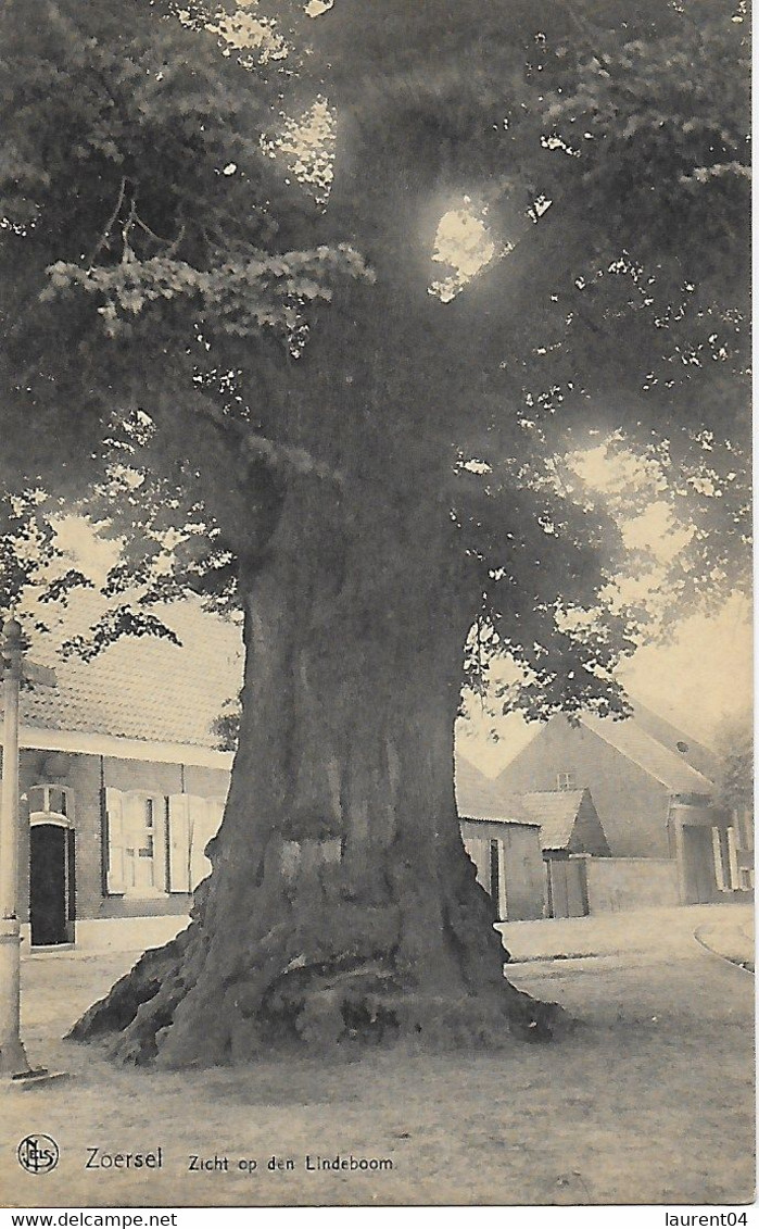 ZOERSEL. ZICH OP DEN LINDEBOOM - Zoersel