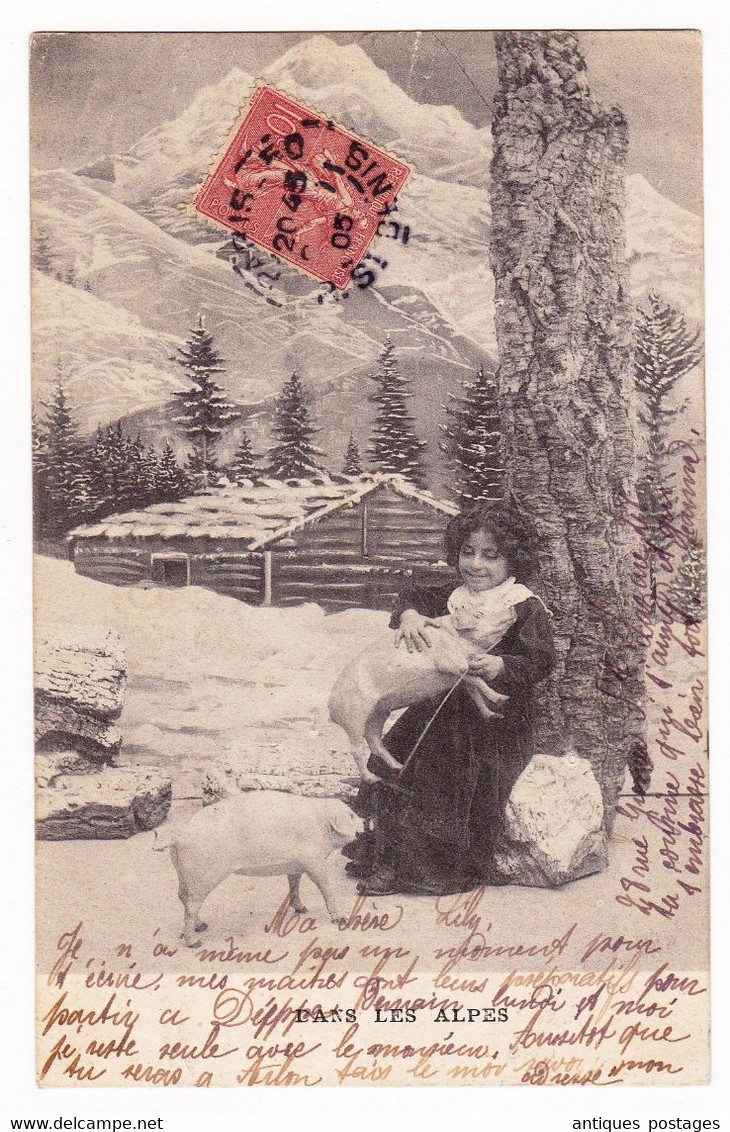 Carte Postale 1905 Paris Saint Denis Les Alpes Semeuse Lignée 10 Centimes Pour Chipping Barnet Angleterre Cochon Pig - 1903-60 Semeuse Lignée