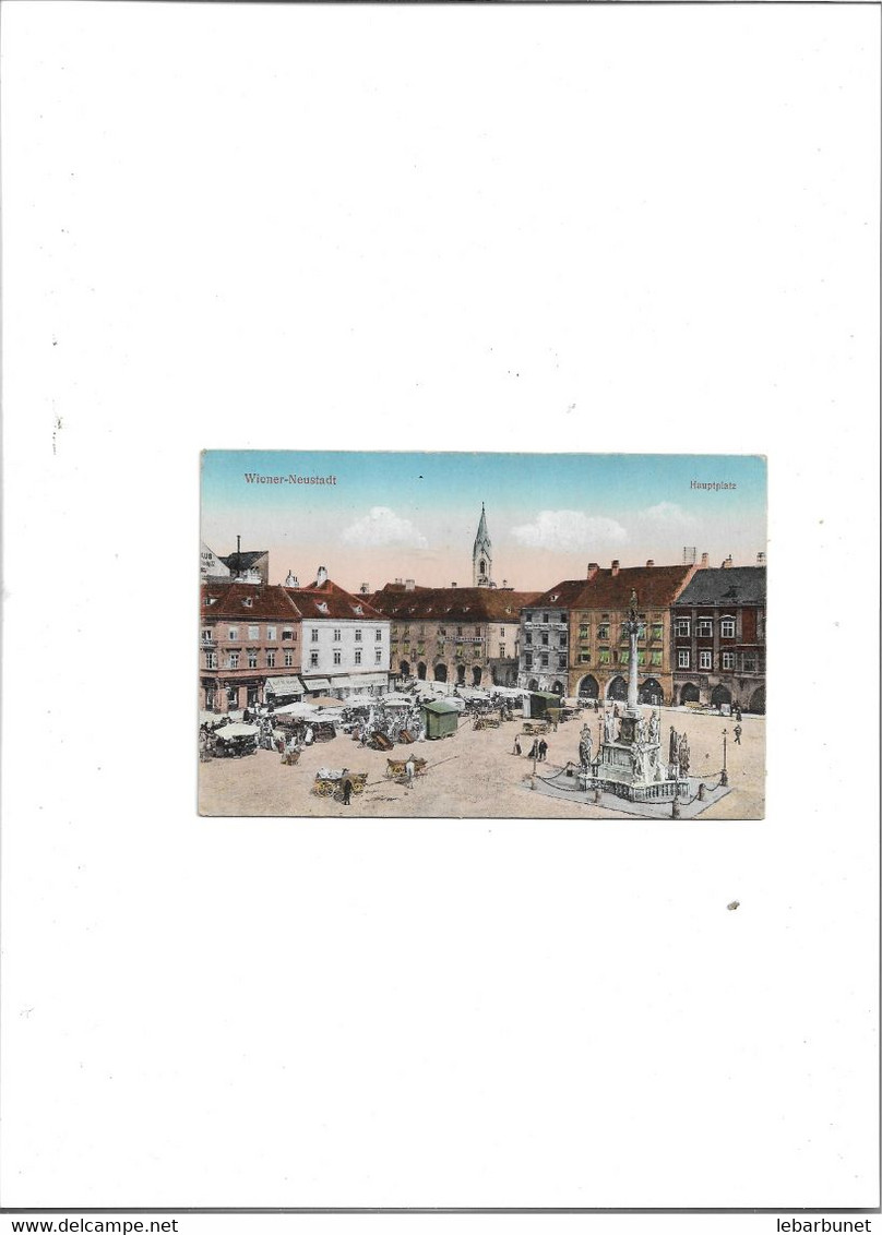 Carte Postale Années 60 Wiener-Neustadt (Allemagne ) Hauptplatz Le Marché - Neustadt Am Rübenberge