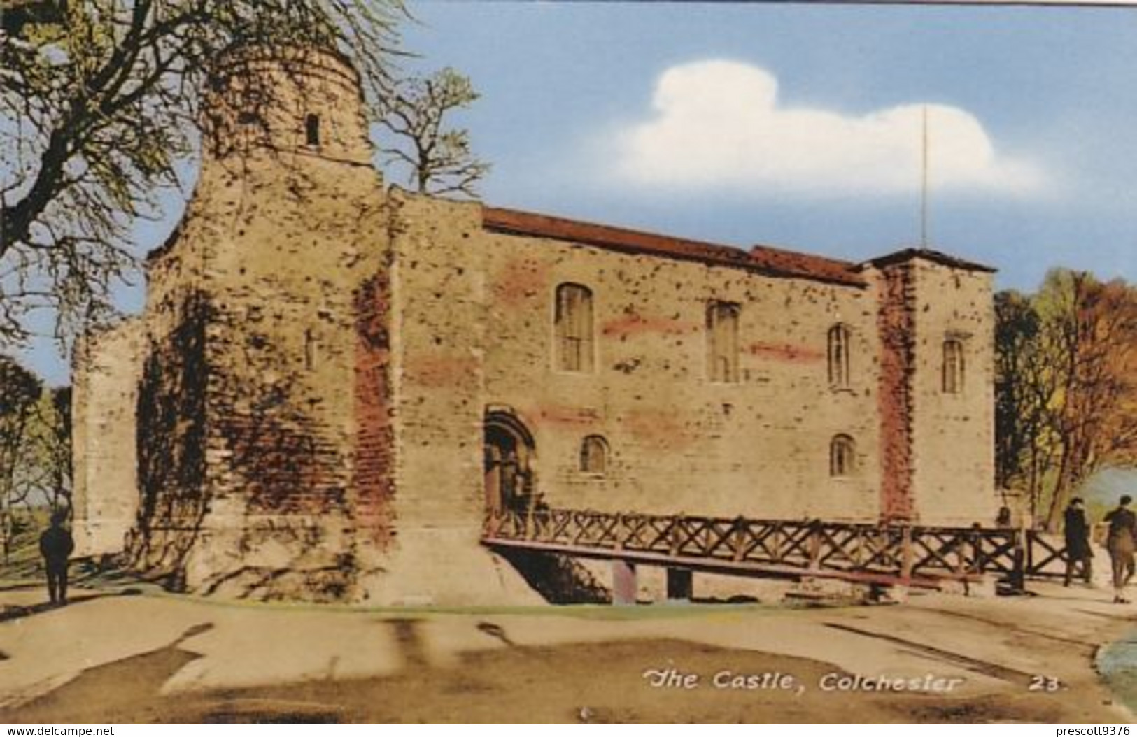 Unused  Postcard, Essex,  The Castle, Colchester - Colchester
