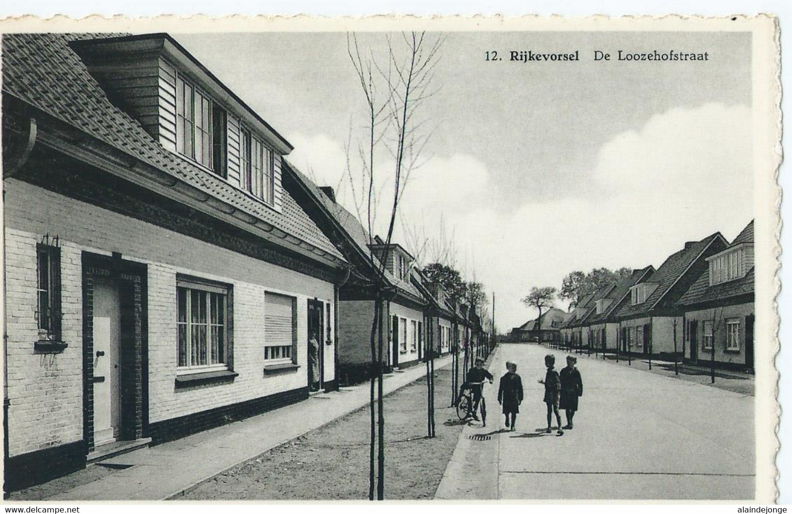 Rijkevorsel - De Loozehofstraat - Uitgave Th. Meeuwezen, Rijkevorsel - Rijkevorsel