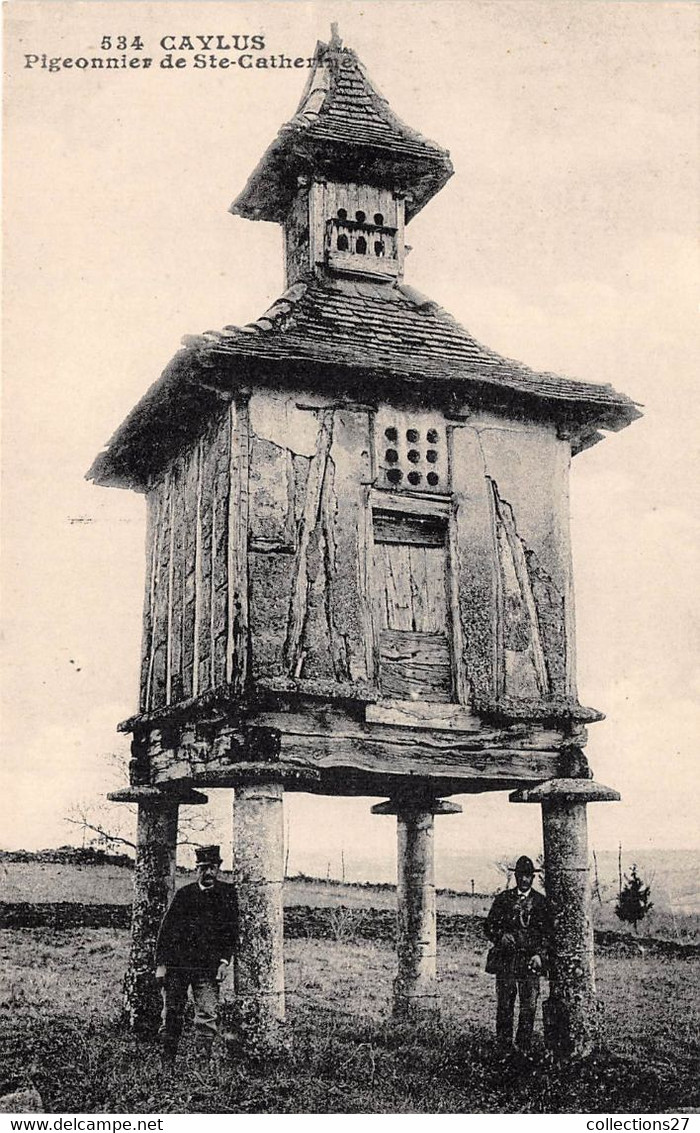 82-CAYLUS- PIGEONNIER DE STE-CATHERINE - Caylus