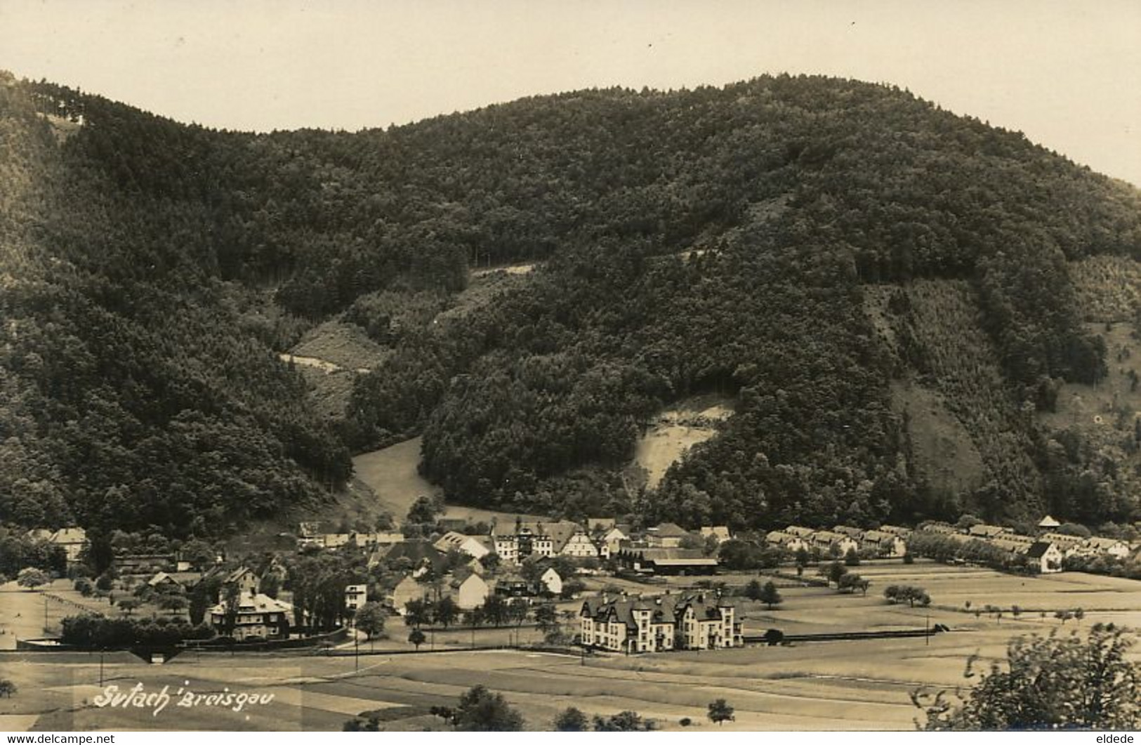 Real Photo Gutach Breisgau - Gutach (Breisgau)