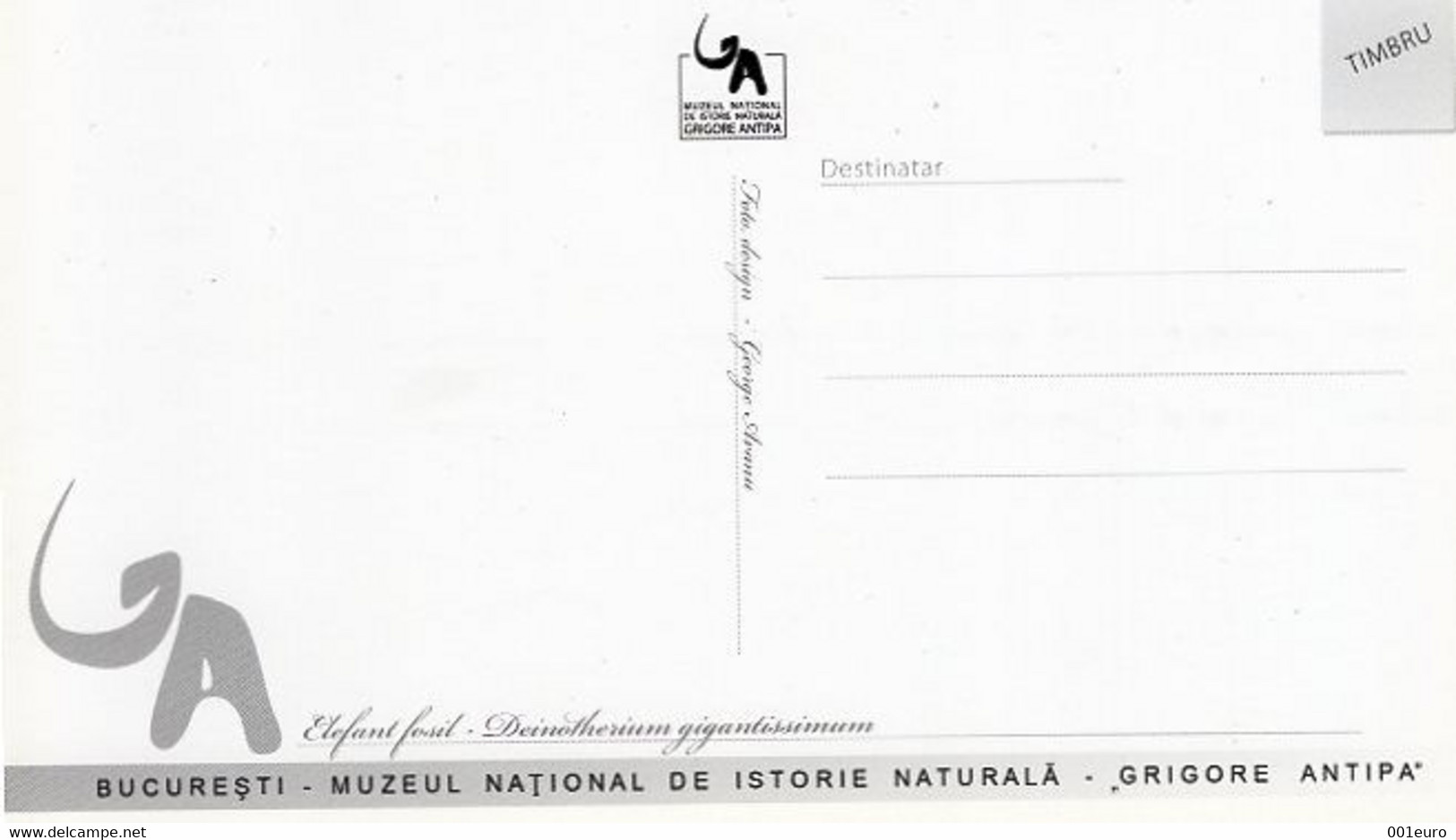 ROMANIA : PREHISTORIC , FOSSIL ELEPHANT - NATURAL SCIENCES MUSEUM Unused Illustrated Card - Registered Shipping! - Olifanten