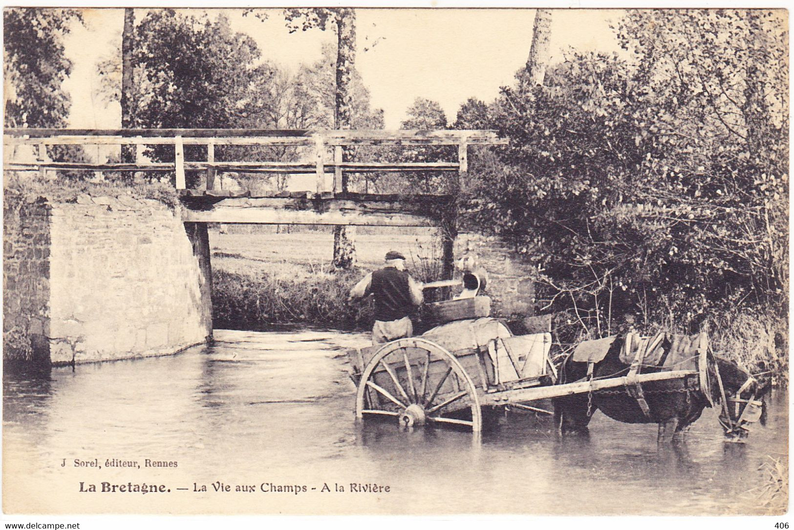 Attelages ( Chevaux ; Anes ; Chèvres ; Boeufs )