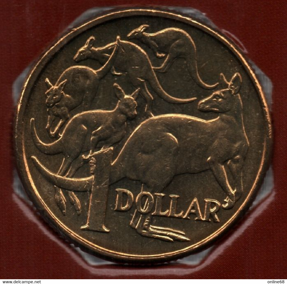 AUSTRALIA 1 DOLLAR 2005 KM# 489 Kangourous - Dollar