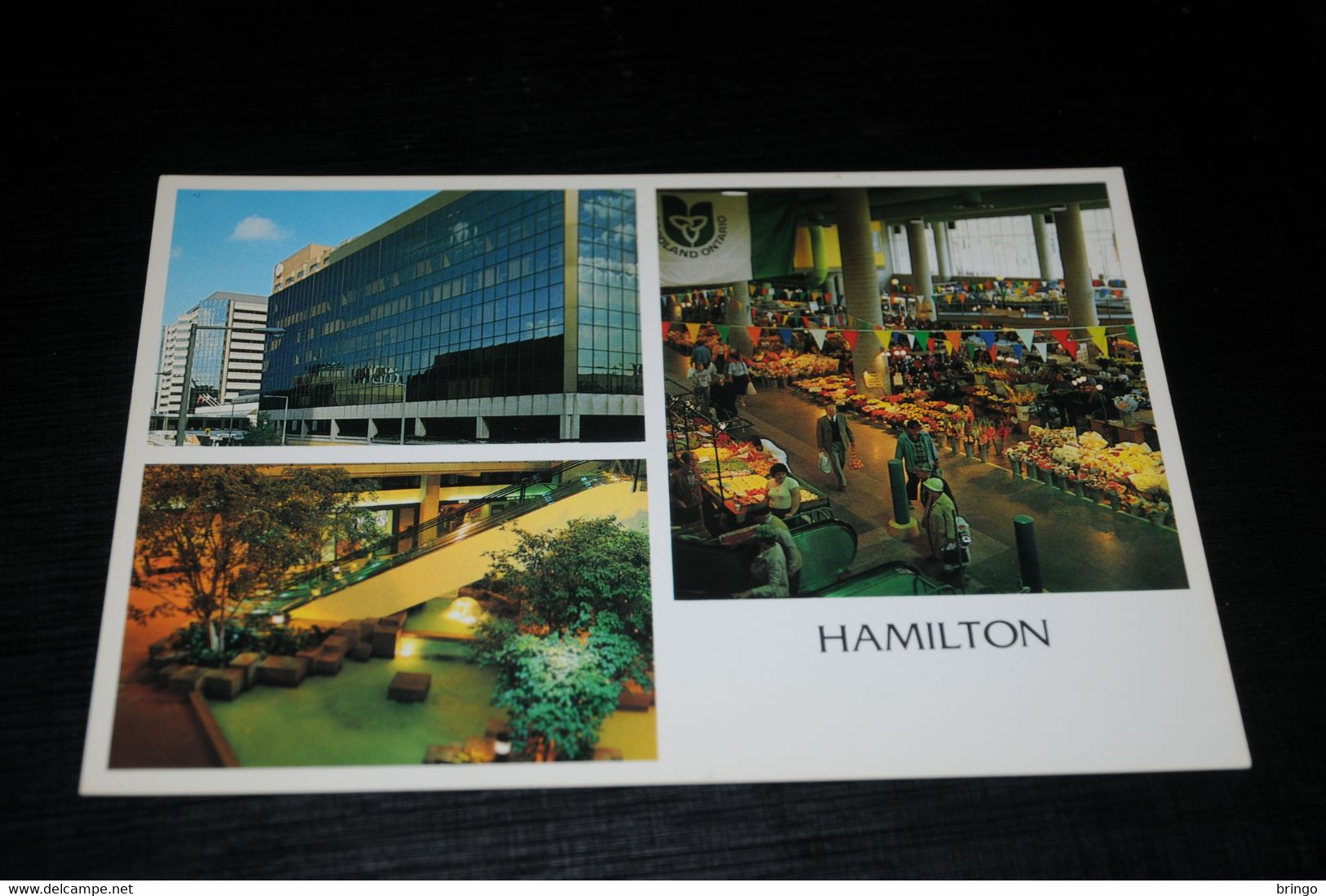 30196-                     CANADA, ONTARIO, HAMILTON, JACKSON SQUARE - Hamilton