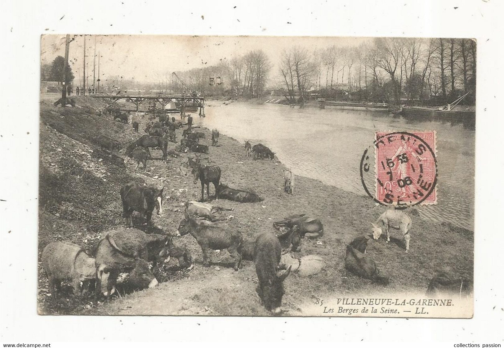 Cp , 92 ,  VILLENEUVE LA GARENNE , Les Berges De La Seine , Animaux ,ânes , Chevaux ,  Voyagée 1906 - Villeneuve La Garenne