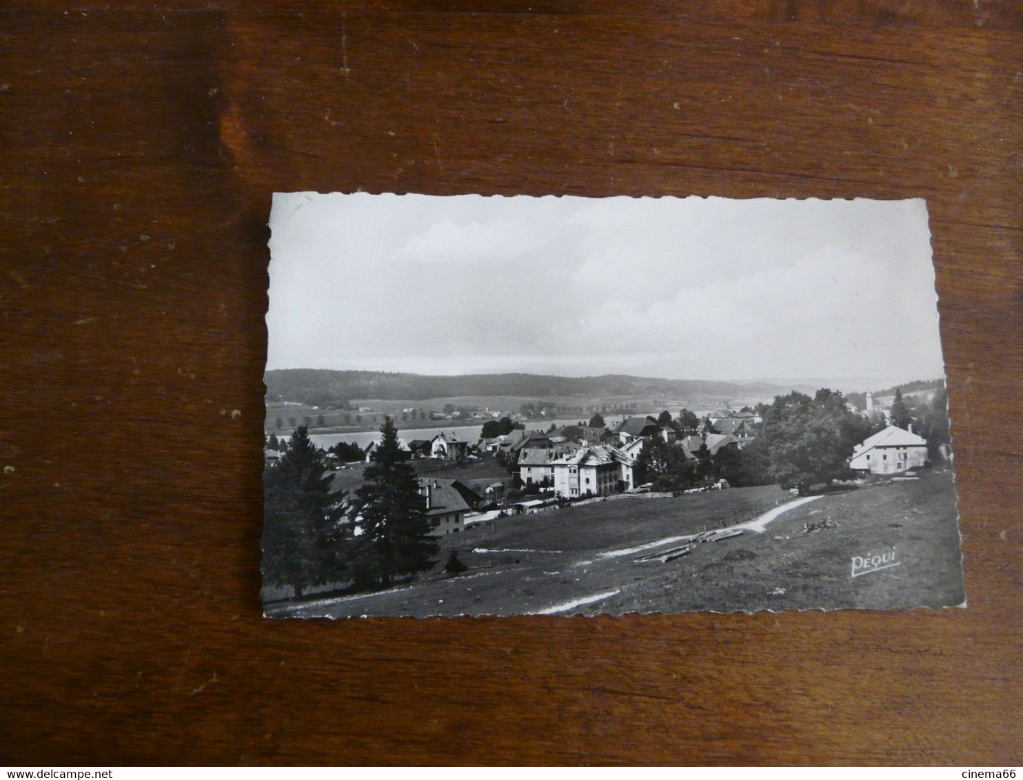 MALBUISSON (Doubs) - Vue Générale - Otros & Sin Clasificación