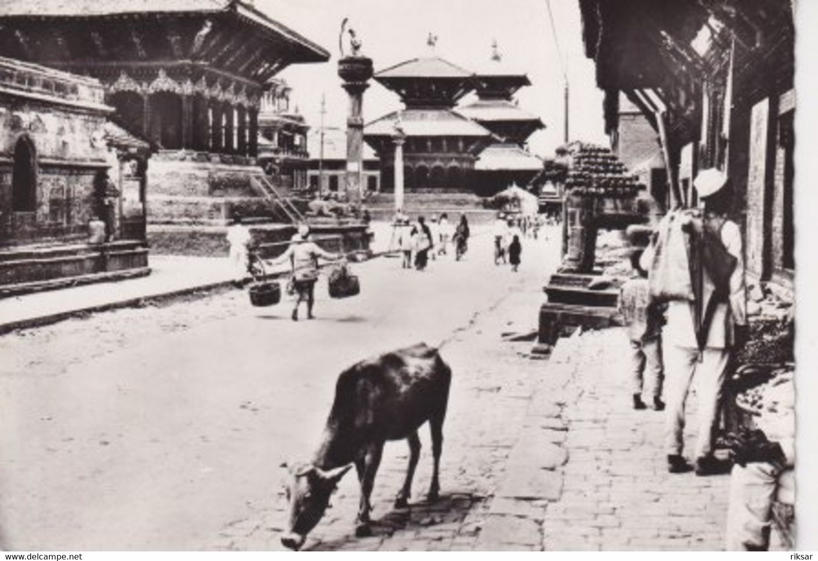 NEPAL(KATHMANDOU) - Népal