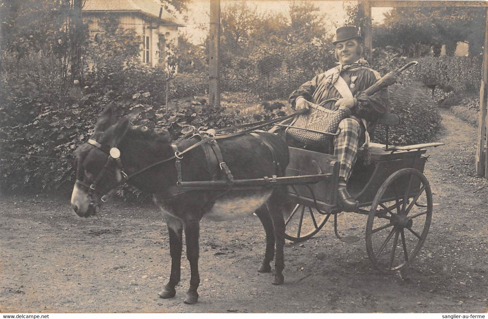 CPA 14 CARTE PHOTO D'UN NORMAND SUR SON ATTELAGE BIENHEUREUX ( Au Verso FILLION LISIEUX - Altri & Non Classificati