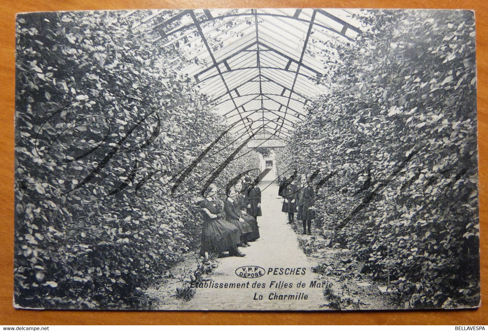 Peches Etablissement Des Filles De Marie . La Charmille  -Pergola Orangerie Serre - Couvin