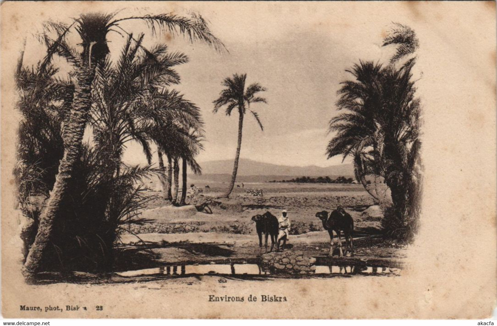 CPA AK BISKRA Envrions - Landscape ALGERIE (1146405) - Biskra