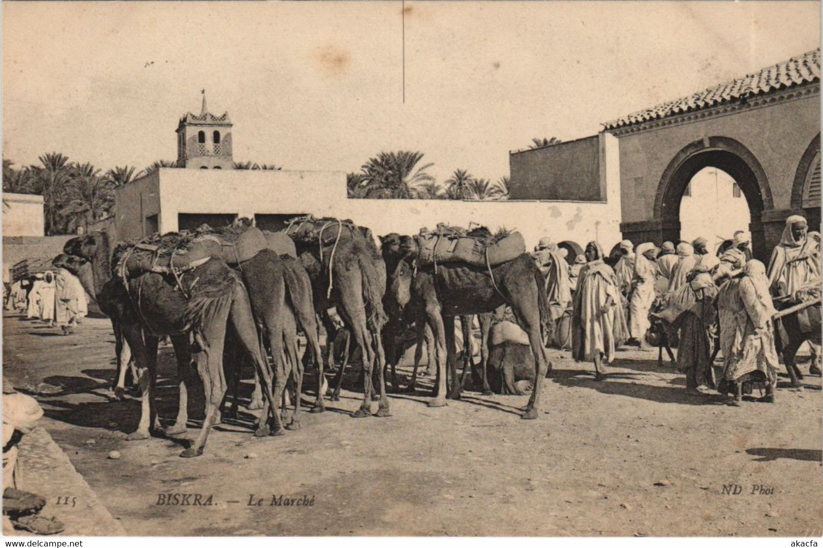 CPA AK BISKRA Le Marche ALGERIE (1146507) - Biskra