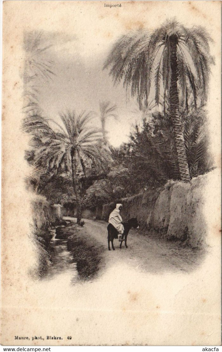 CPA AK BISKRA Road Scene ALGERIE (1146514) - Biskra