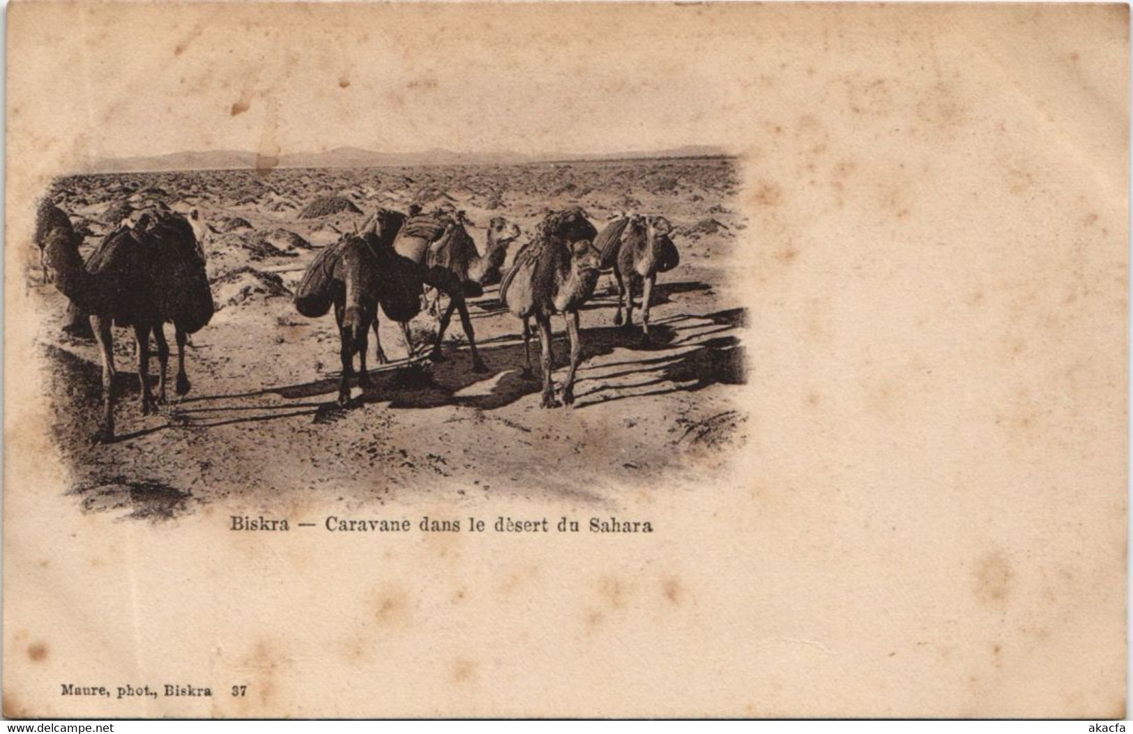 CPA AK BISKRA Caravane Dans Le Desert Du Sahara ALGERIE (1146527) - Biskra