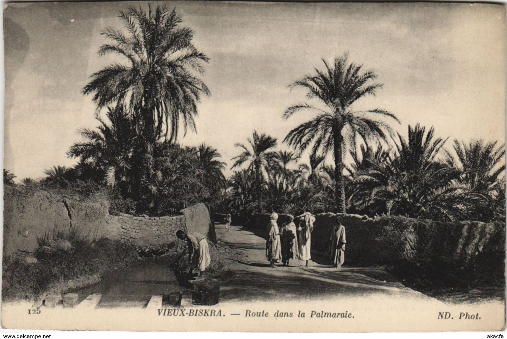 CPA AK BISKRA Vieux-Biskra - Route Dans La Palmeraie ALGERIE (1146648) - Biskra