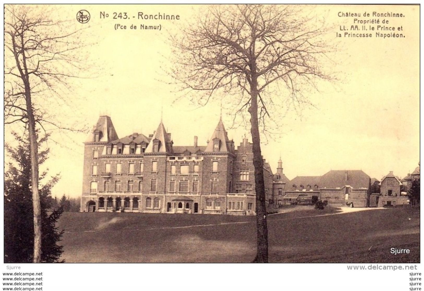 RONCHINNE / Assesse - Château De Ronchinne - Kasteel - Assesse