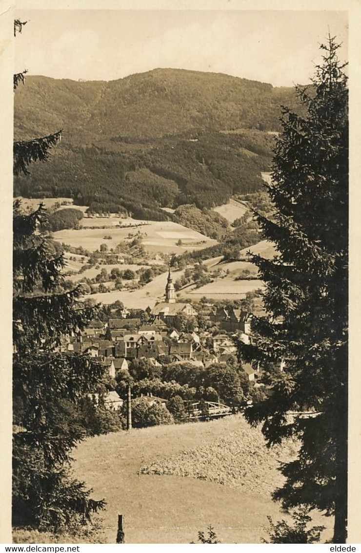 Real Photo Waldkirch  Mit Kandel - Waldkirch