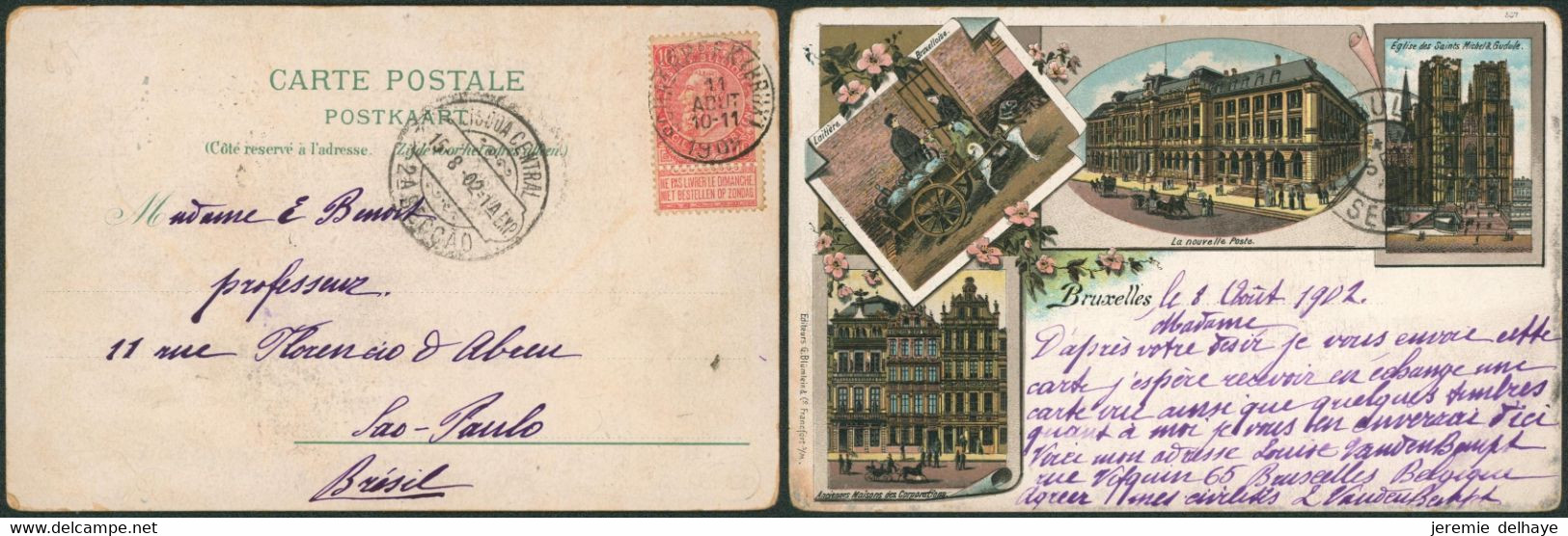 DESTINATION - N°58 Sur CP Vue Expédiée De Schaerbeek (1902) > Sao-Paulo (Brésil) + Arrivée - Poste Rurale