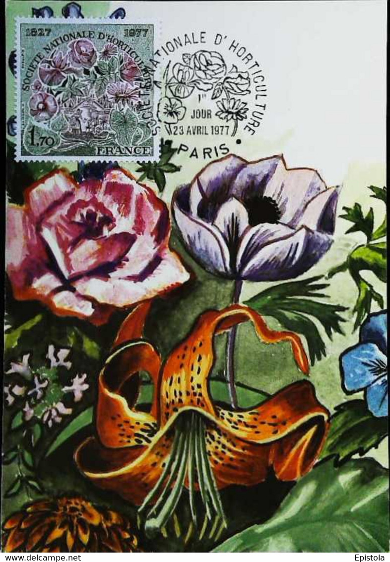 ►Fleur Pavot Rose  Flower - Floralies De Paris - Carte Maximum Card 1977 - Rosas