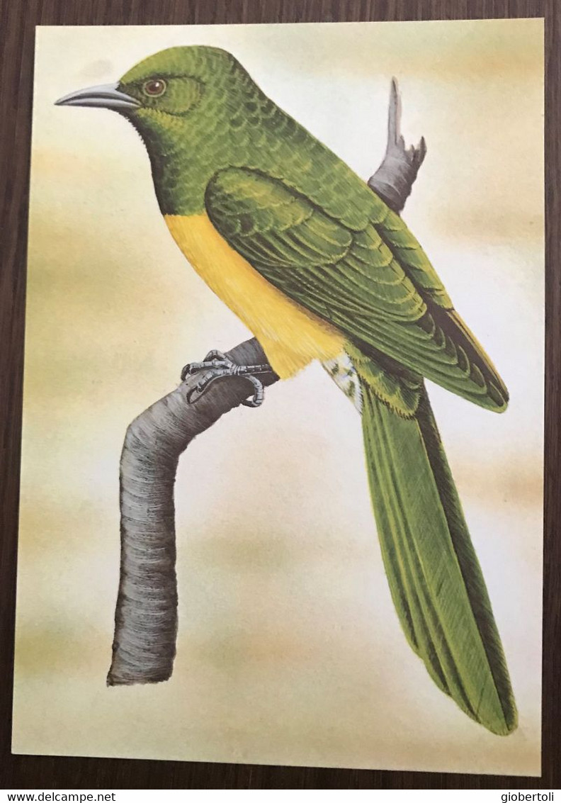 Sao Tomé E Principe: Intero, Stationery, Entier, Chrysococcyx Cupreus Insularum - Cuckoos & Turacos