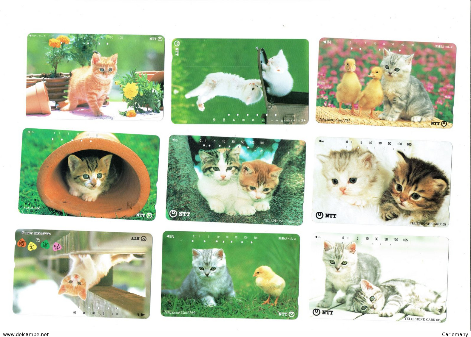 9 TELECARTES PHONECARDS GATOS CATS - Autres - Asie