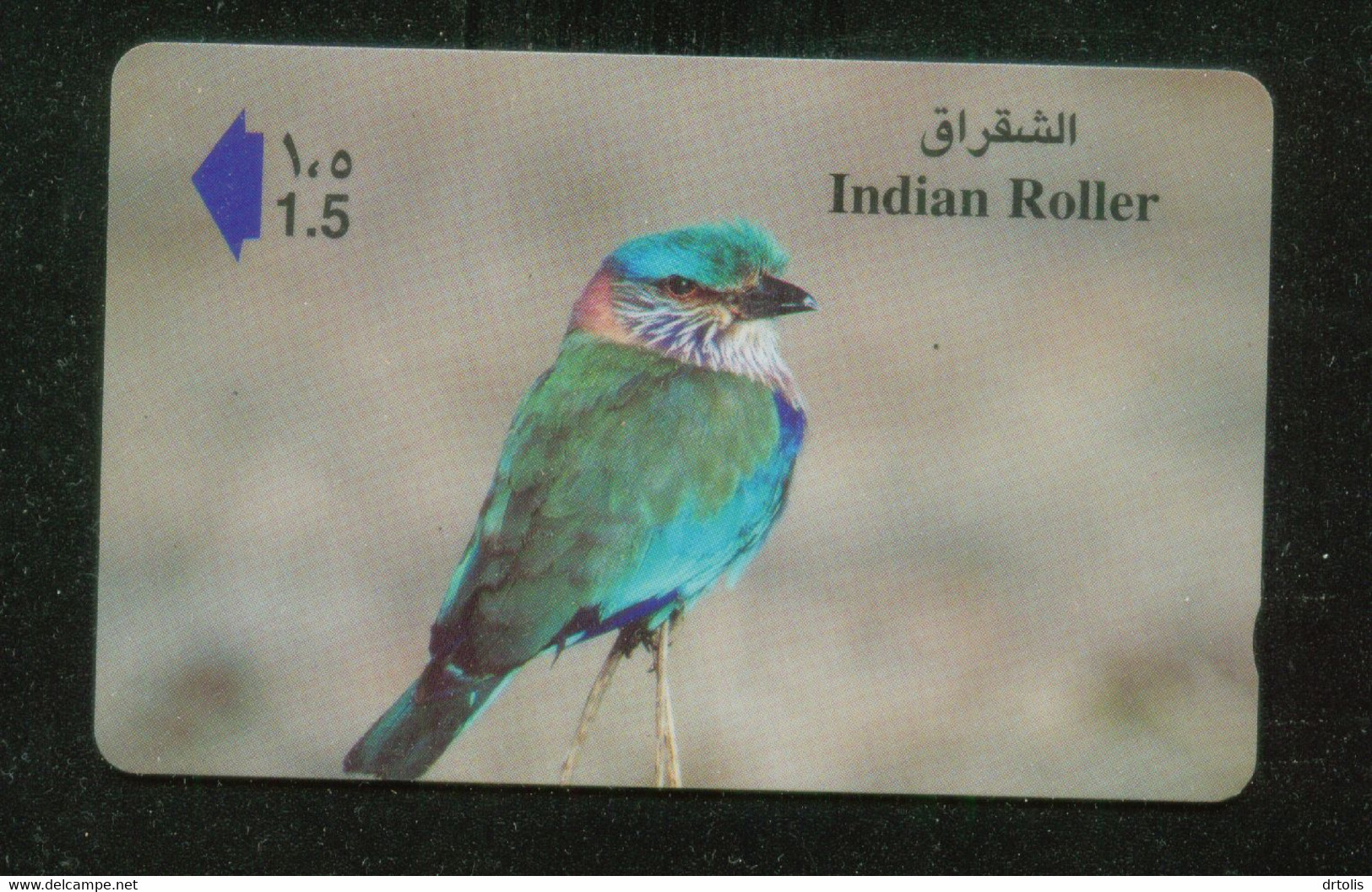 BIRDS/ INDIAN ROLLER - Uccelli Canterini Ed Arboricoli