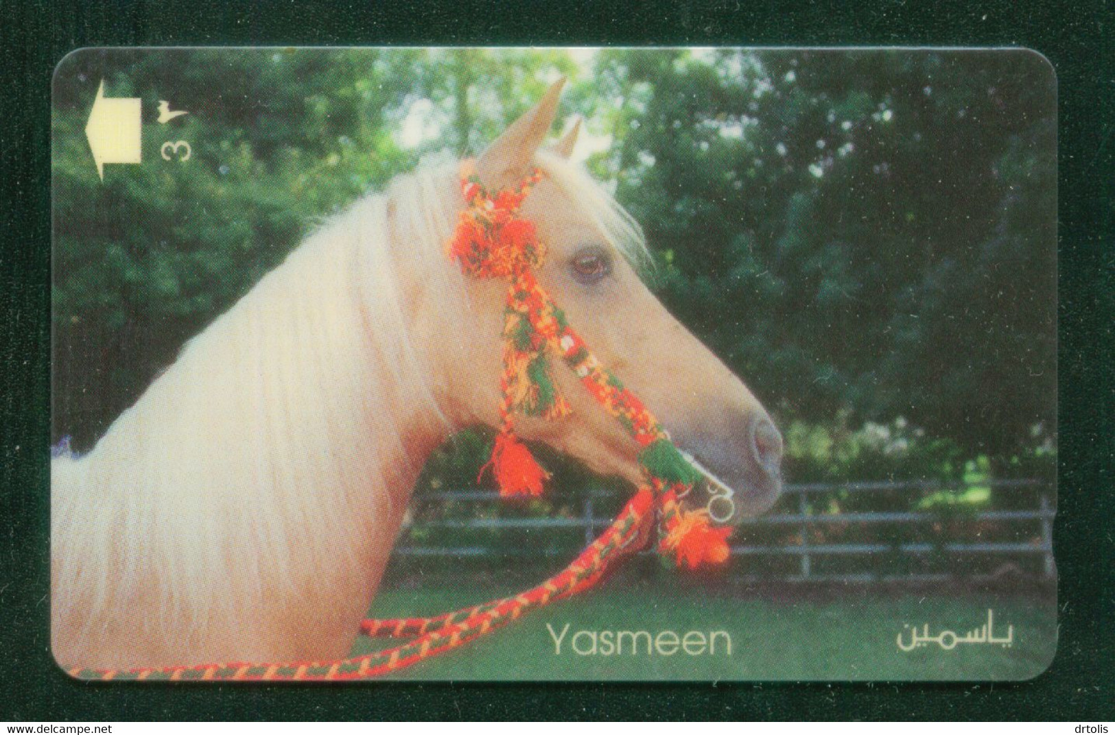 HORSE / YASMEEN - Paarden
