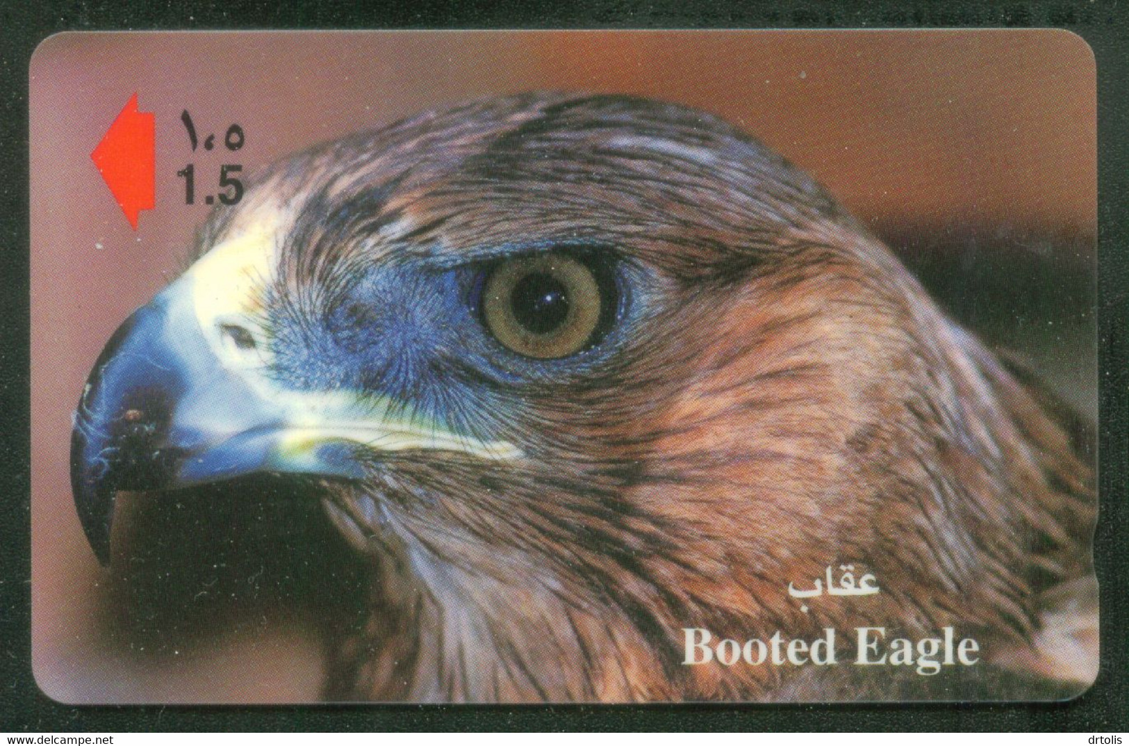 BIRDS / EAGLE / BOOTED EAGLE - Adler & Greifvögel