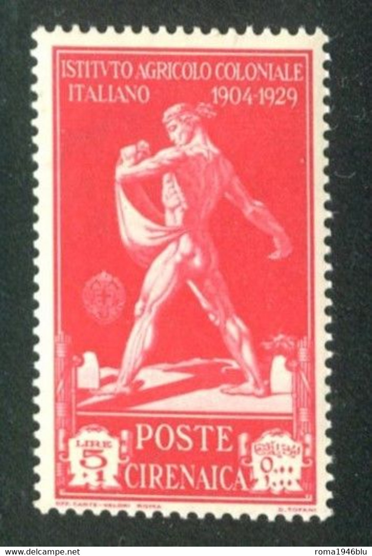 CIRENAICA 1930 PRO ISTITUTO COLONIALE ITALIANO  5 L.  +1 L.** MNH - Cirenaica